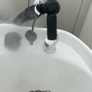 채널헤어송절지웰점 이미지