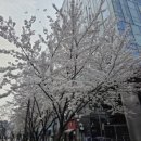 엘지전자(주)의정부지점 | 서울 의정부 금오동 녹양동 호원동 물탱크청소 후기^^