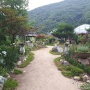 배내허브랜드 이미지