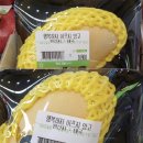 베이커리 후