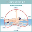 수영할때 꼭 외우고 머리속에 넣어둘 공식 이미지