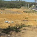 풍림농장 이미지