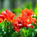 두성농장 이미지