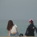 와이키키 네이버블로그