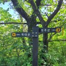 6월 천주산 상봉(농바위:659m) 번개산행 이미지