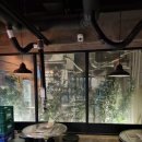 황가네꼼장군 이미지