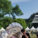 와이제이(YJ) 이미지