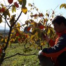 햇님농장 이미지