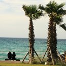 함덕 푸른밤 이미지