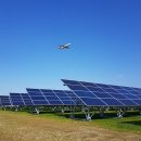 현지태양광발전소 이미지