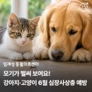 임재성동물의료센터 네이버블로그