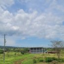 해바라기안경원 이미지