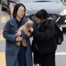 매년 수능응원하러 나오는 강아지들🐶 이미지