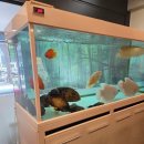 공리 - 강남구 선릉로129길 24 | 부천 룸식당 중국집 공리 후기