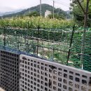 합성동112 이미지