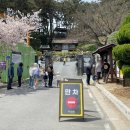 지에스25그랑드비체점 | 산책로가 잘 되어 있는 충남 보령 &lt;죽도 상화원&gt; 내돈내산 후기 (주차, 입장료, 무료 간식)