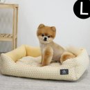 폼폼애견 이미지