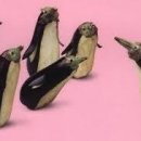 성신고등학교 이미지