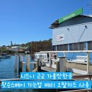 시드니 근교 가볼만한곳 왓슨스베이 가는법 페리 시간표 오팔카드 사용