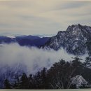 퍼니구내식당
