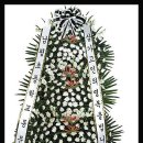 남평초교 이미지