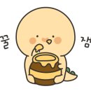 강아지고양이편의점쌍문점