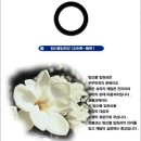 신용동 원광한의원~신용동 원불교익산교당 | 원불교