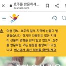 노랑풍선패키지] 호주 멜버른/시드니 5박7일 - 아시아나직항 // 프롤로그