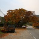 천탑마을 이미지