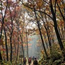 한빛렌트카 | 대전 1박2일 완벽 코스 실제 다녀온 후기