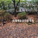 서초대로33길 84-8 이미지