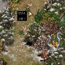 거상환경 이미지