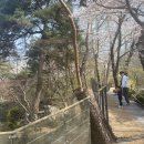 카페24ING 이미지