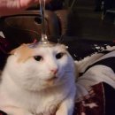 불철주야 이미지