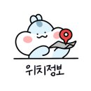어프리콧케이크 이미지