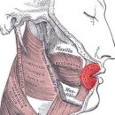 백마성동한의원 이미지