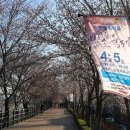 송정둑길 이미지