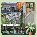 제천 카페 녹초/수제 돈가스/덩실 분식 수제 도너츠/ 당일치기 가볼 만한 곳 카페, 맛집 추천