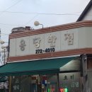 솜리 | 목포 치킨포장 맛집 "솜리치킨" 내돈내산 솔직후기 포장 주문