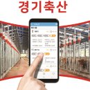 바래축산 이미지