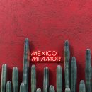 따께리아 라 비다(Taqueria La Vida) 네이버블로그