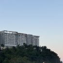 엔젤파크콘도펜션 | 속초 롯데리조트 콘도 스위트 33