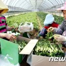 천지원 농장 이미지