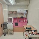 강남 고양이 호텔 미용 츄캣 이미지