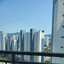 옥정중앙약국 네이버블로그