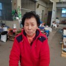 강진3호 이미지