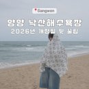 양양이 | 양양 낙산해수욕장 후기｜2026 개장일과 주차, 샤워실까지 총정리