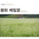 감전(메밀축제장) 이미지