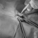 파랑새동물병원 이미지