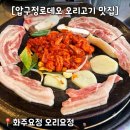 오리가스 | 로데오맛집 화주요정) 압구정 야장맛집 오리고기 후기